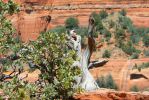 PICTURES/Devils Bridge Hike - Sedona/t_Swirly Tree2.JPG